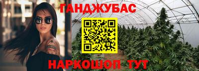 дмт Будённовск