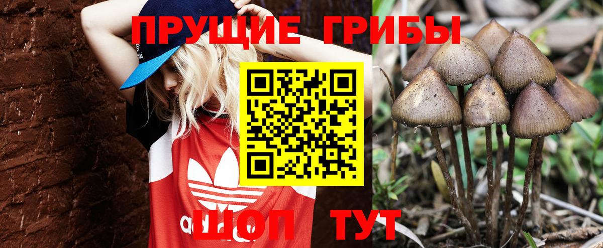 Галлюциногенные грибы прущие грибы Стерлитамак